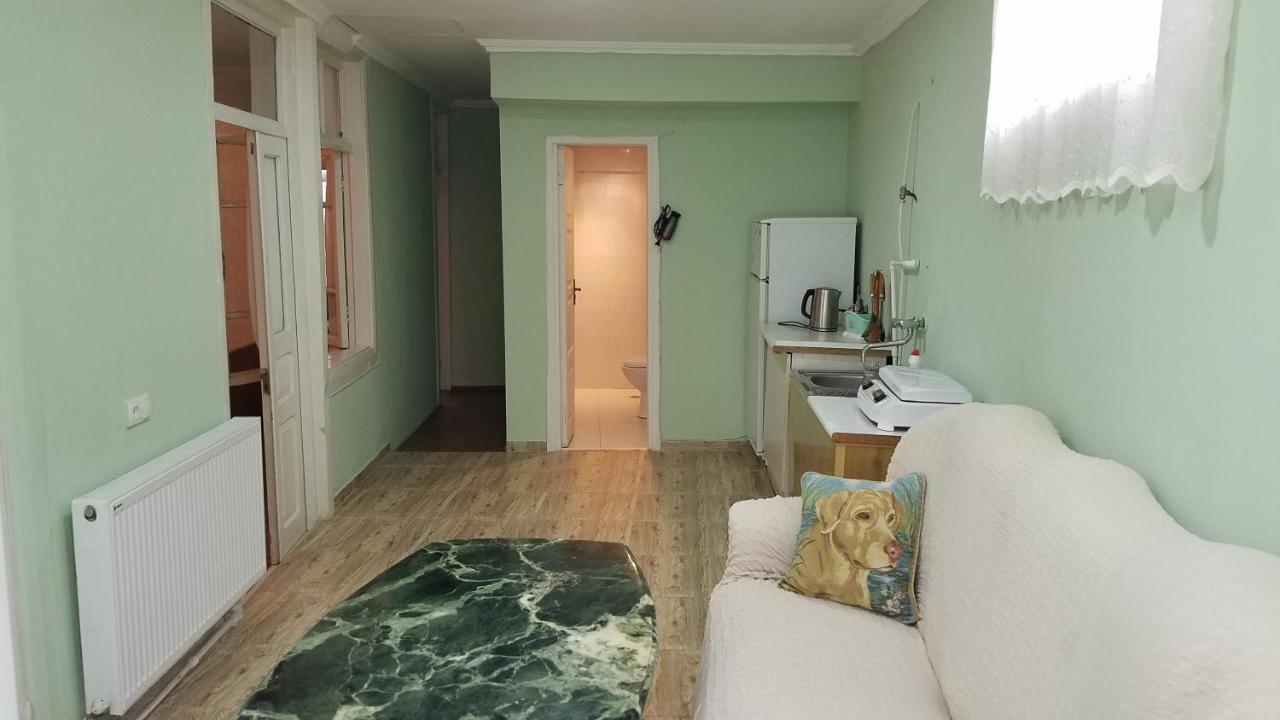 Guest House Green Rose Borzsomi Kültér fotó