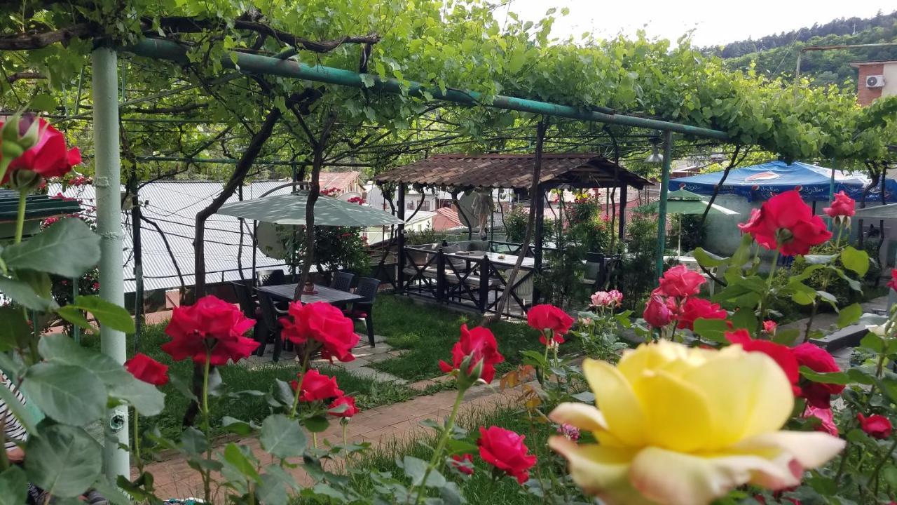 Guest House Green Rose Borzsomi Kültér fotó