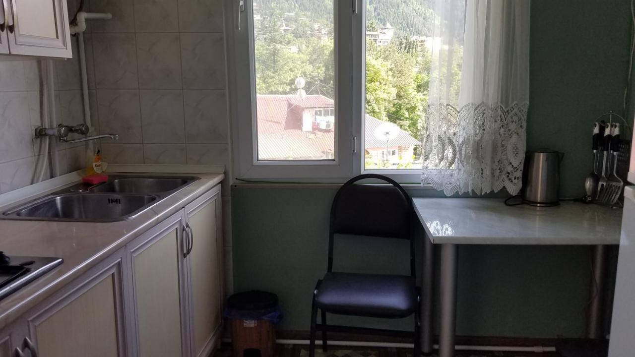 Guest House Green Rose Borzsomi Kültér fotó