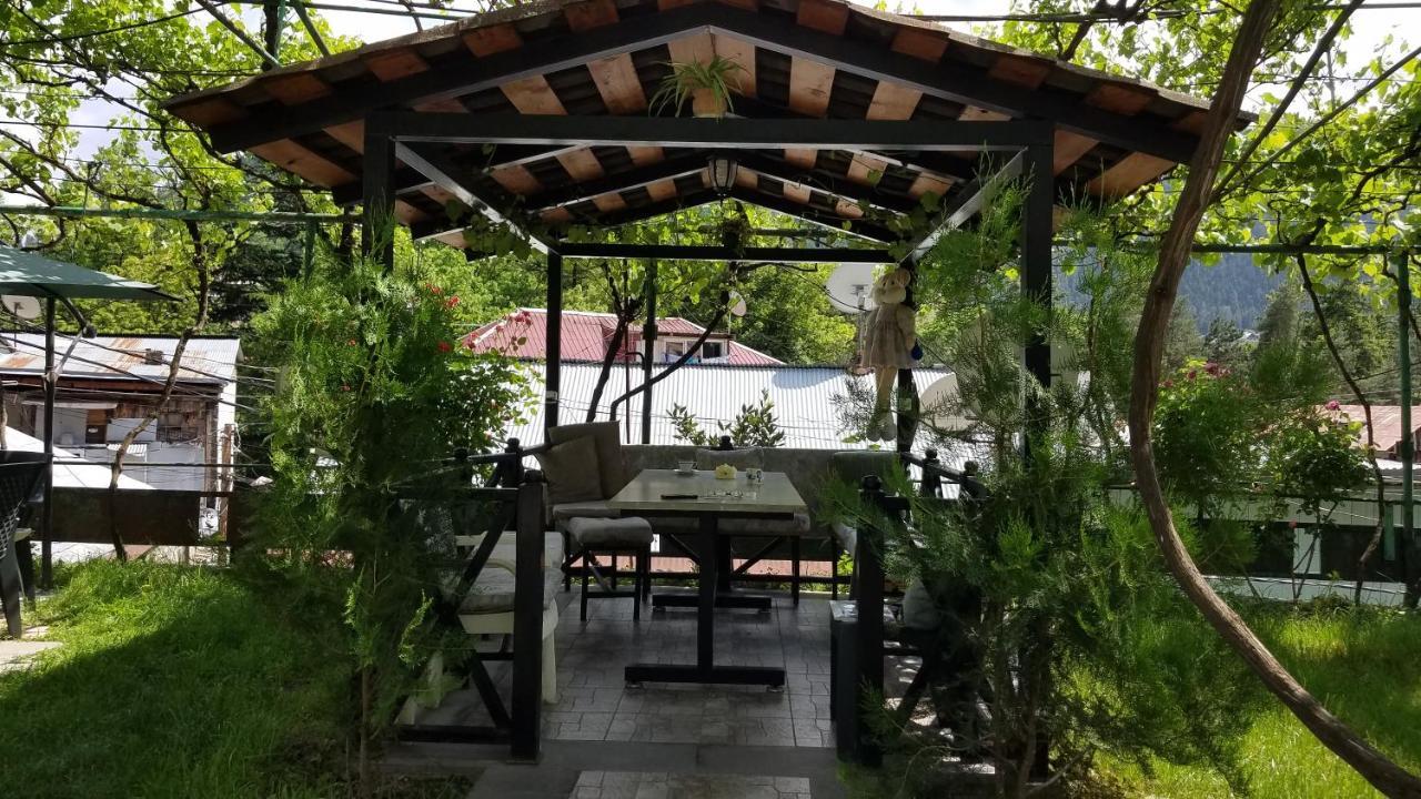 Guest House Green Rose Borzsomi Kültér fotó